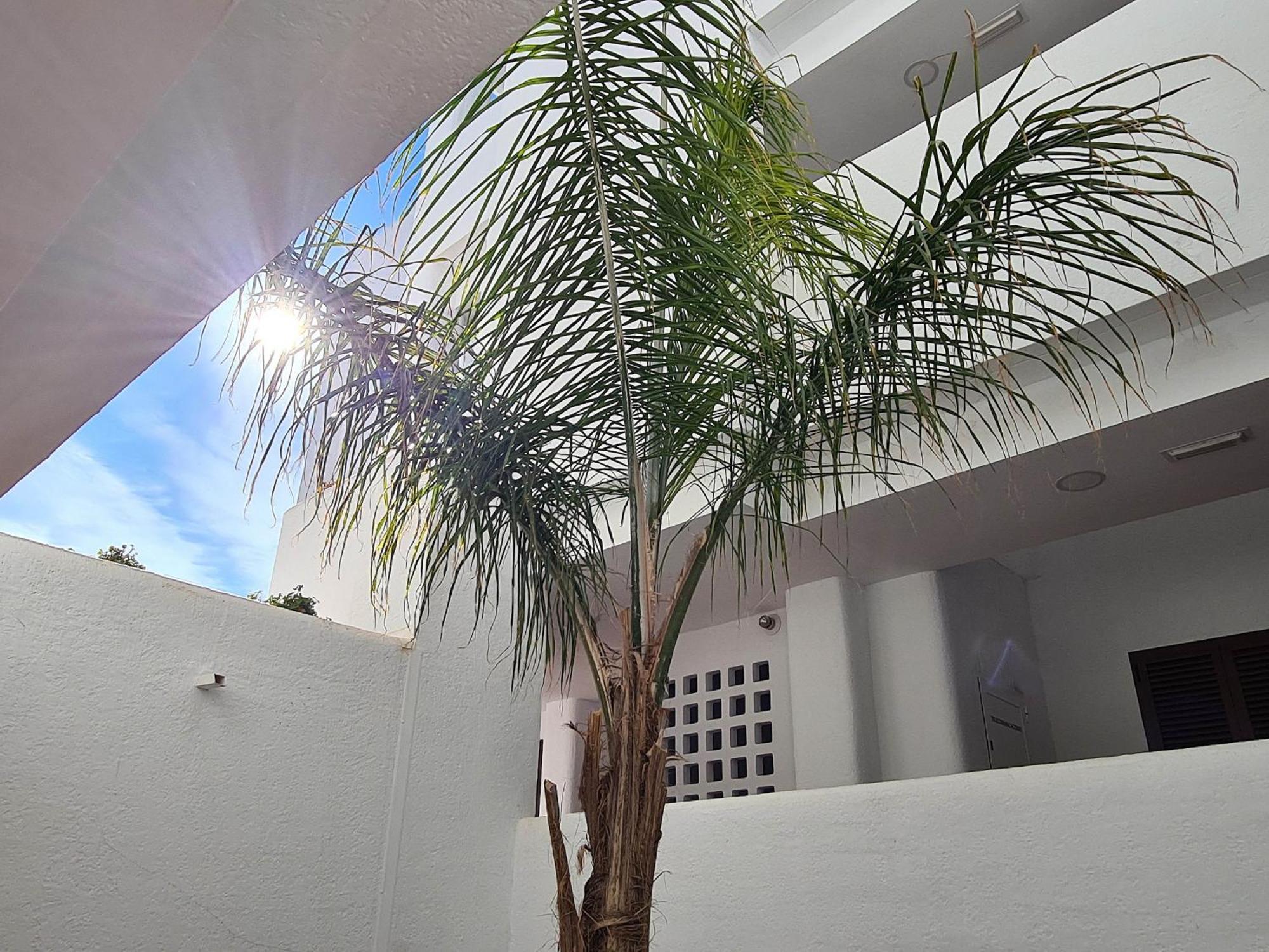 El Sueno Lägenhet San Juan de los Terreros Exteriör bild